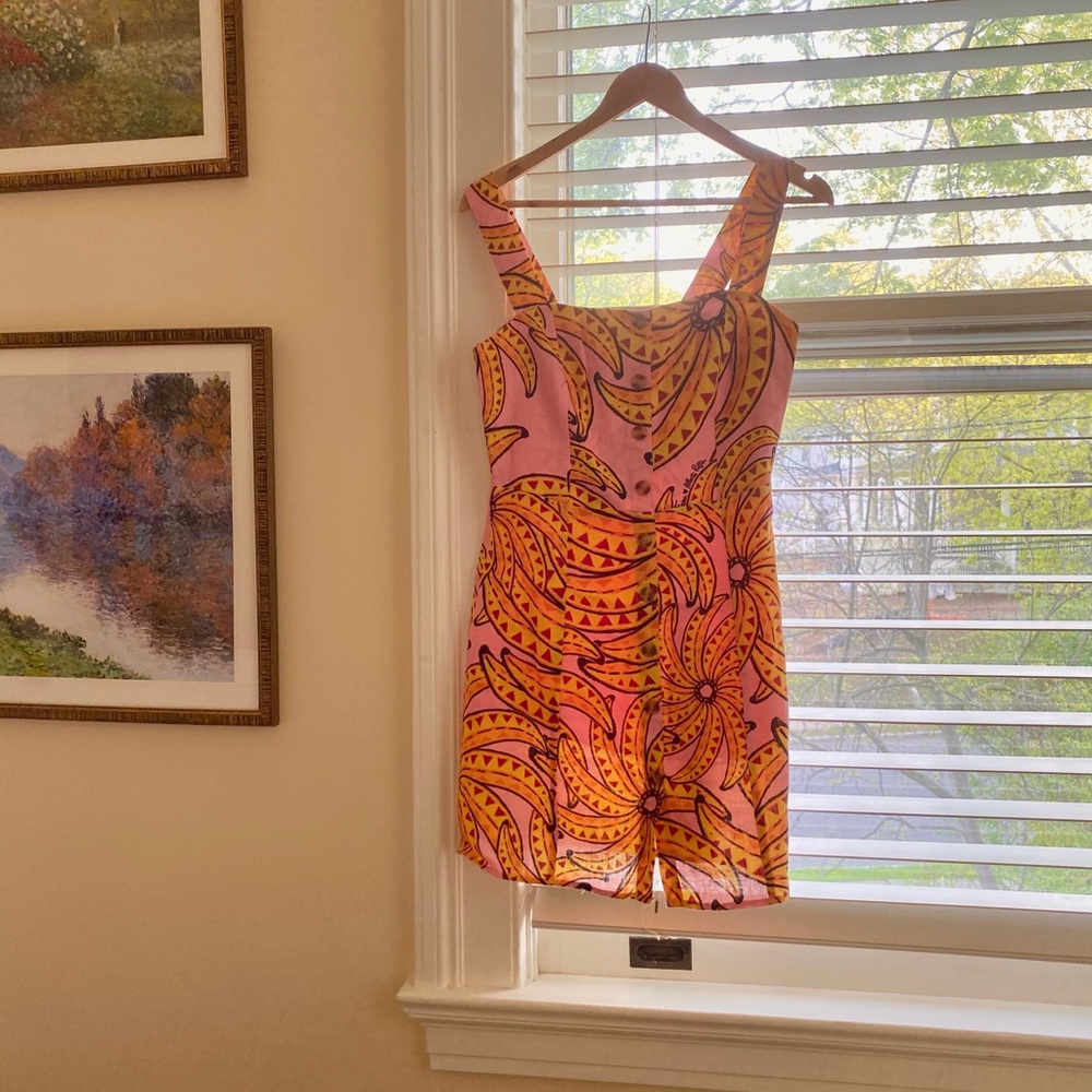 Farm Rio dress beautiful NWT